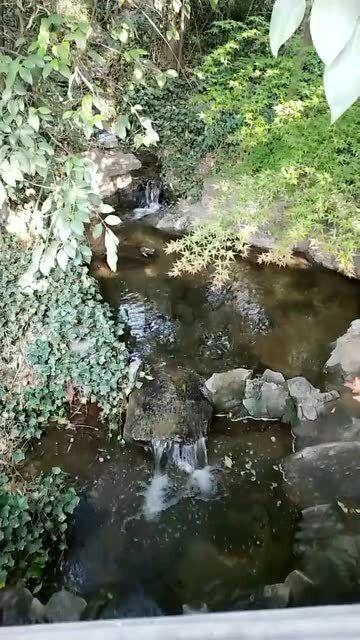 地狱边境