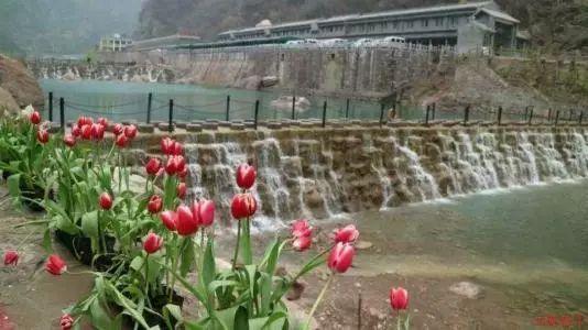 儒艮在中国已经功能上灭绝，为何会出现这种现象呢？游戏画面