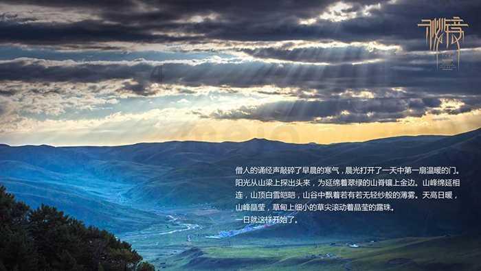 救援有趣的狮子