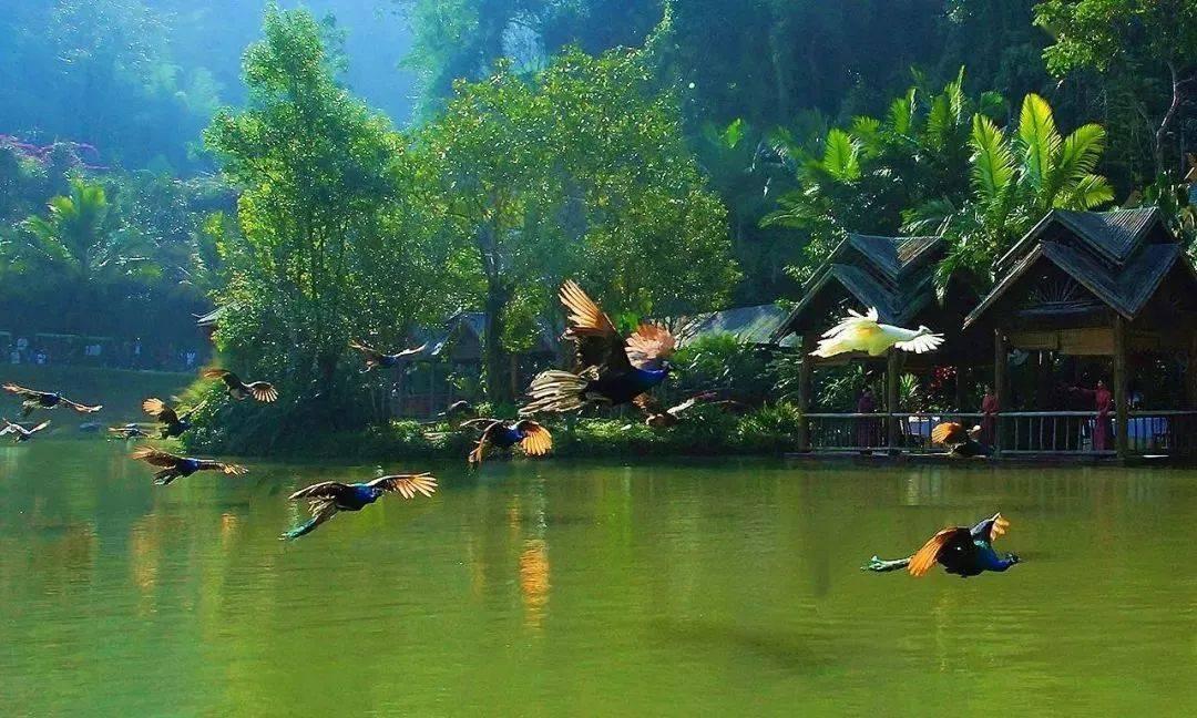 市开发区:部门联合 推进企业异味治理