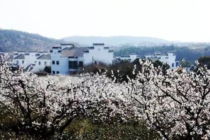 可爱吊带裙