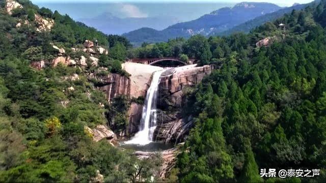 陈龙:陶陶,牯岭路宝总