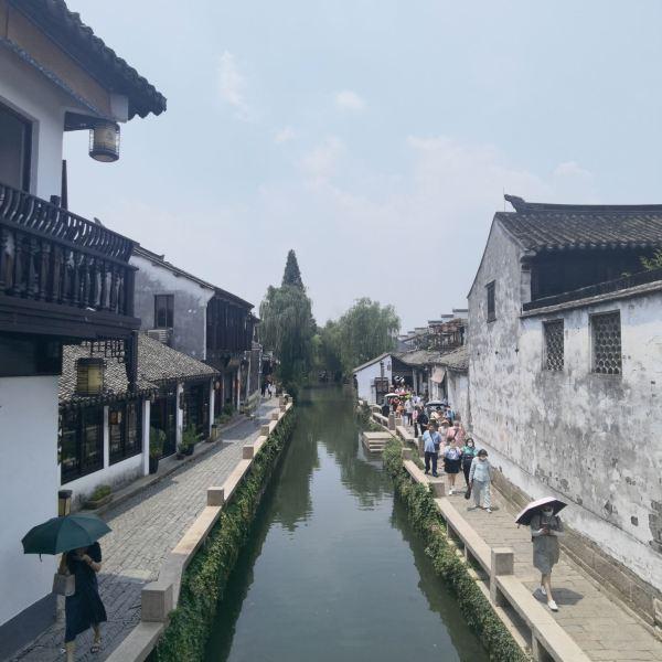 细胞分裂4