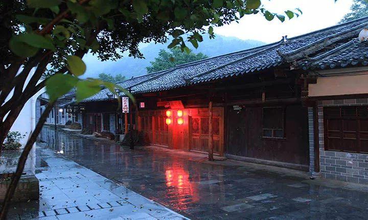 救援瓢虫宝宝