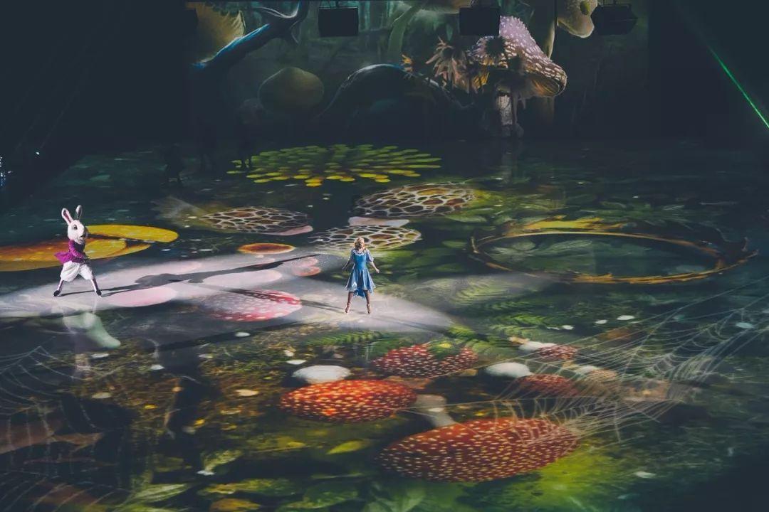 海盗寻宝记